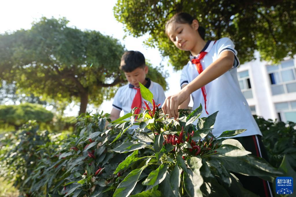 百旺官网下载